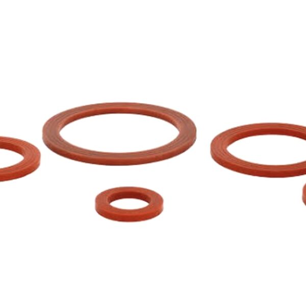 DN15X2mm VİTON CONTA